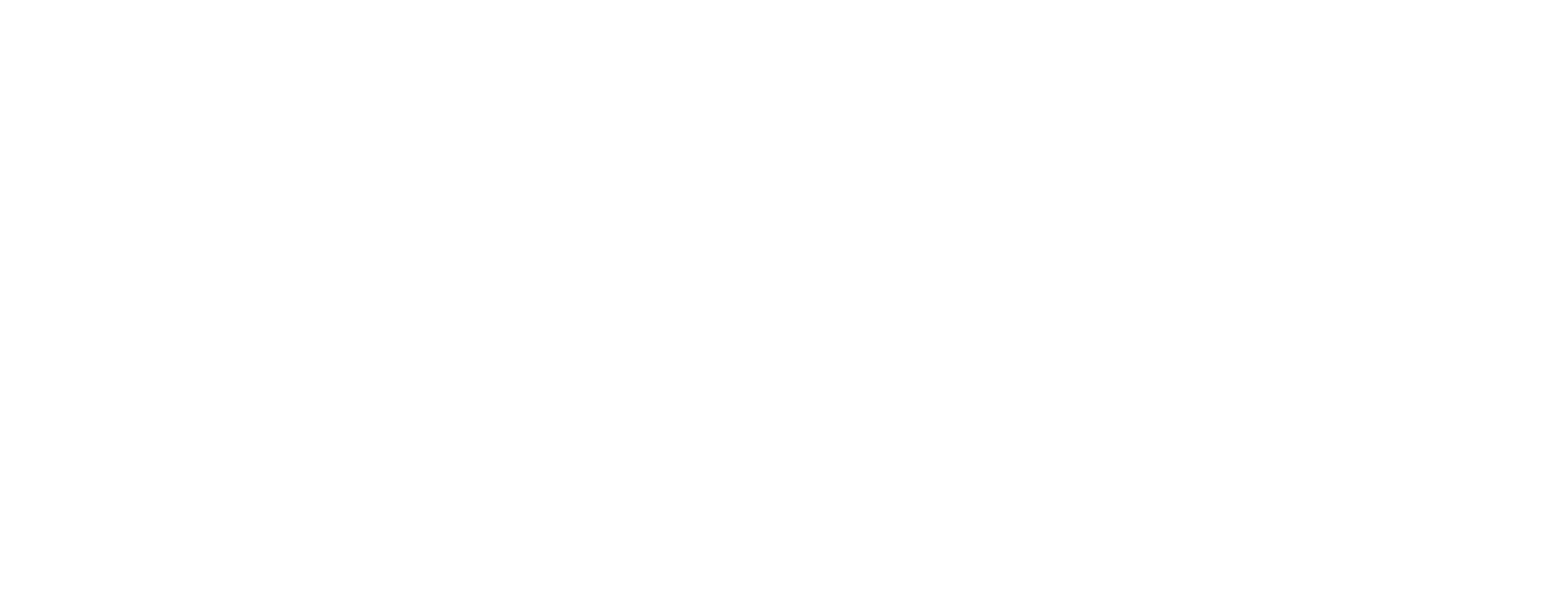 OneCarNow